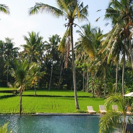 Bhanuswari Villas Ubud Exterior foto