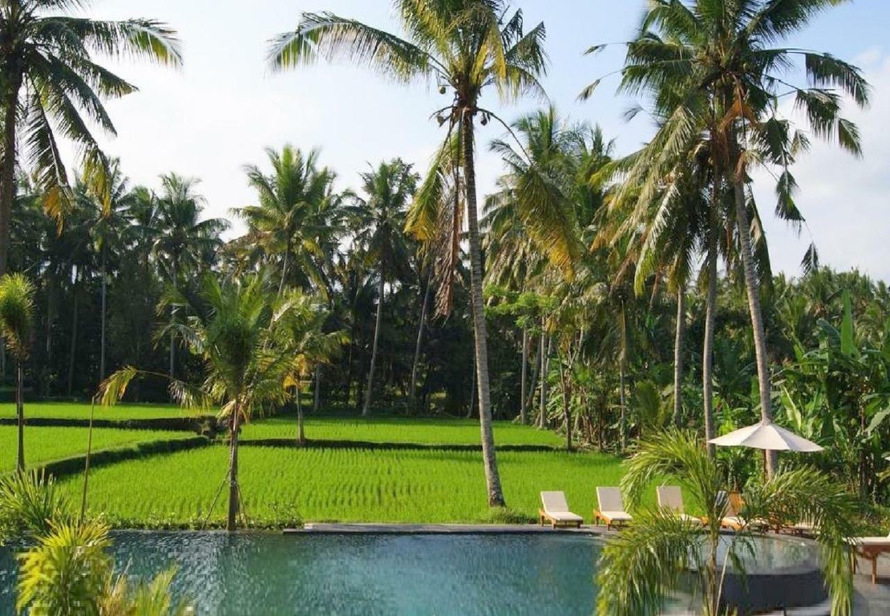 Bhanuswari Villas Ubud Exterior foto